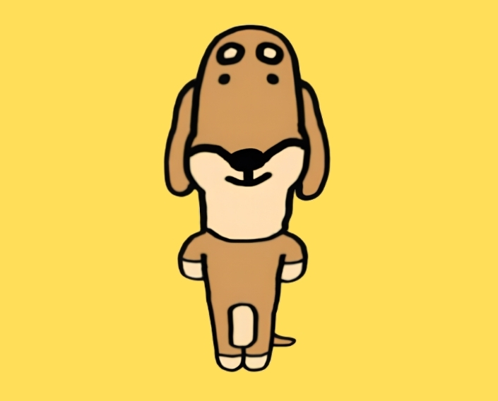 Dogu, a long dachshund, standing against a yellow background